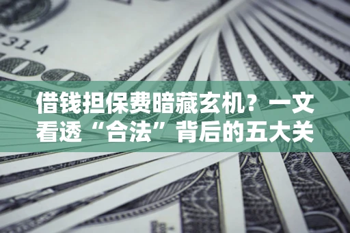 济南借钱担保费暗藏玄机？一文看透“合法”背后的五大关键陷阱