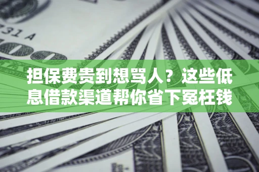 济南担保费贵到想骂人？这些低息借款渠道帮你省下冤枉钱