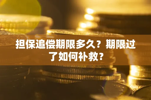 济南担保追偿期限多久？期限过了如何补救？