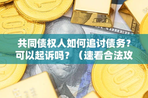 济南共同债权人如何追讨债务？可以起诉吗？（速看合法攻略）
